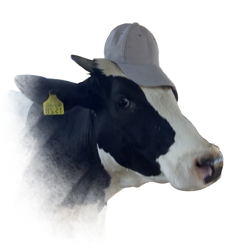 1528