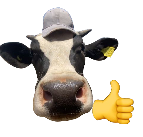 Vaca bien
